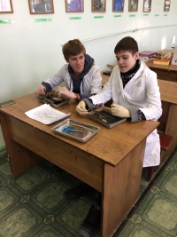 Институт ветеринарной медицины
